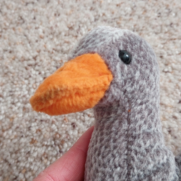 Ty Honks and Gracie - Picture 3 of 5